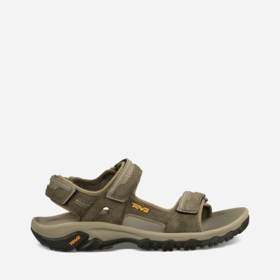 Teva Hudson Men's Hiking Sandals South Africa - SKC281306